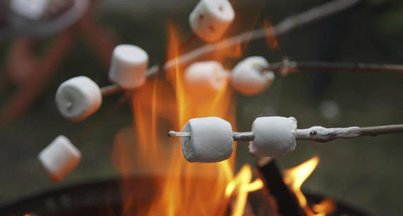 roasting marshmallows while camping in west virginia
